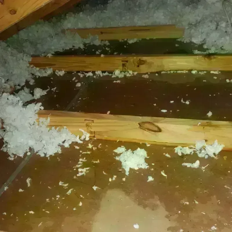 Best Attic Water Damage Service in Pequot Lakes, MN