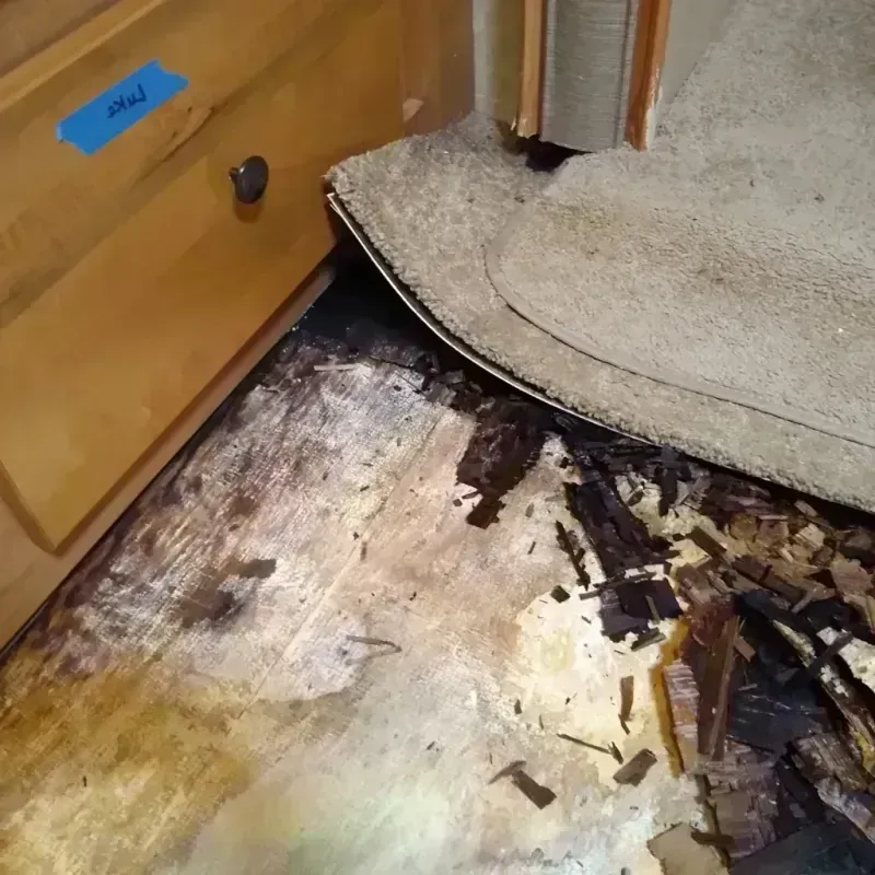 Best Wood Floor Water Damage Service in Pequot Lakes, MN